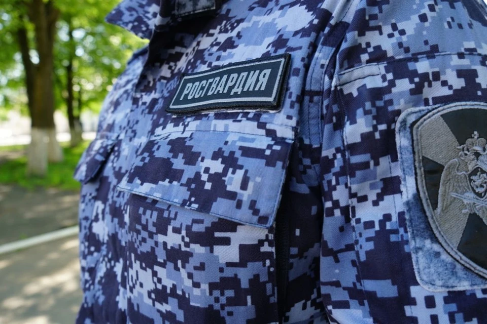 Кировские росгвардейцы задержали подозреваемого в краже телефона. Фото: 43.rosguard.gov.ru