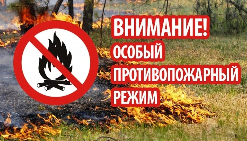 Всем нарушителям грозит административный штраф.