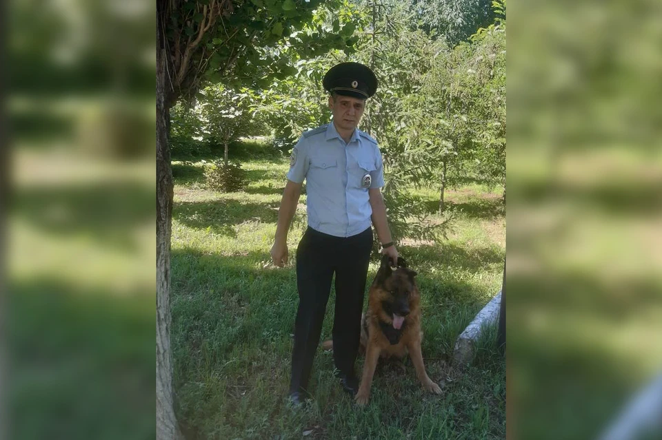 Овчарка набросилась на девушку в подмосковье вчера. Немецкая овчарка напала на ребенка в москве. Немецкая овчарка напала на ребенка в москве. 9-летнего мальчика набросились две овчарки. Хозяйка выгуливает собаку.