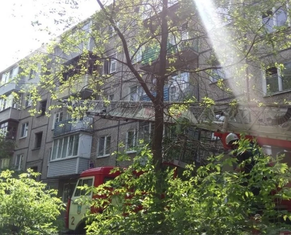 Фото: ГУ МЧС России по Владимирской области