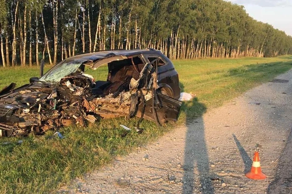 В Почепском районе в ДТП с фурой погиб водитель иномарки - KP.RU