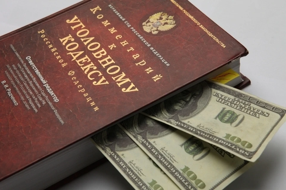 В Хабаровском крае возбуждено уголовное дело о многомиллионном мошенничестве
