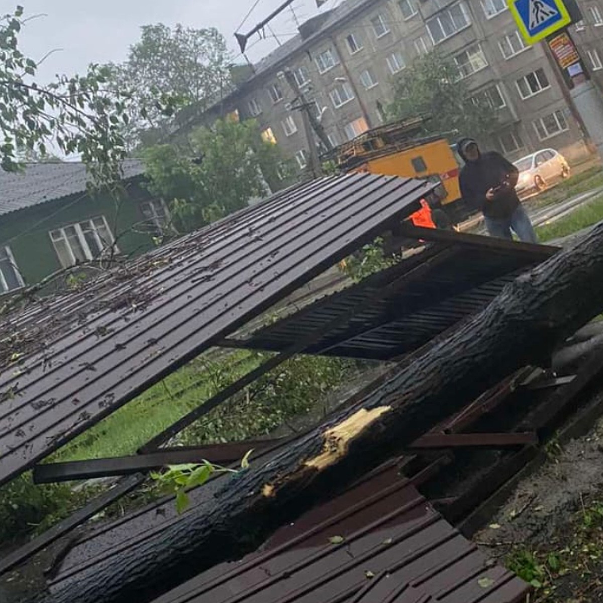 Тополь, упавший во время шквального ветра в Иркутске, сломал позвоночник  стоявшему на остановке мужчине - KP.RU