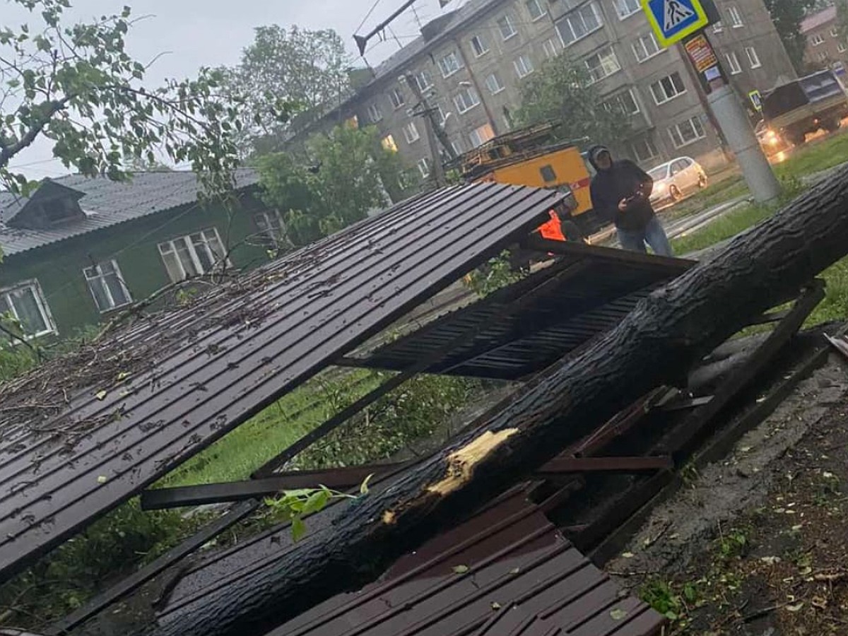 Тополь, упавший во время шквального ветра в Иркутске, сломал позвоночник  стоявшему на остановке мужчине - KP.RU