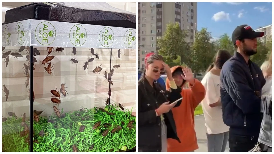 Фото: скриншот с видео "ALOEsmart | Сеть магазинов косметики" / vk.com