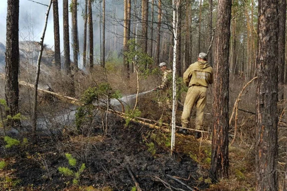 25 лесных пожаров действуют в Иркутской области