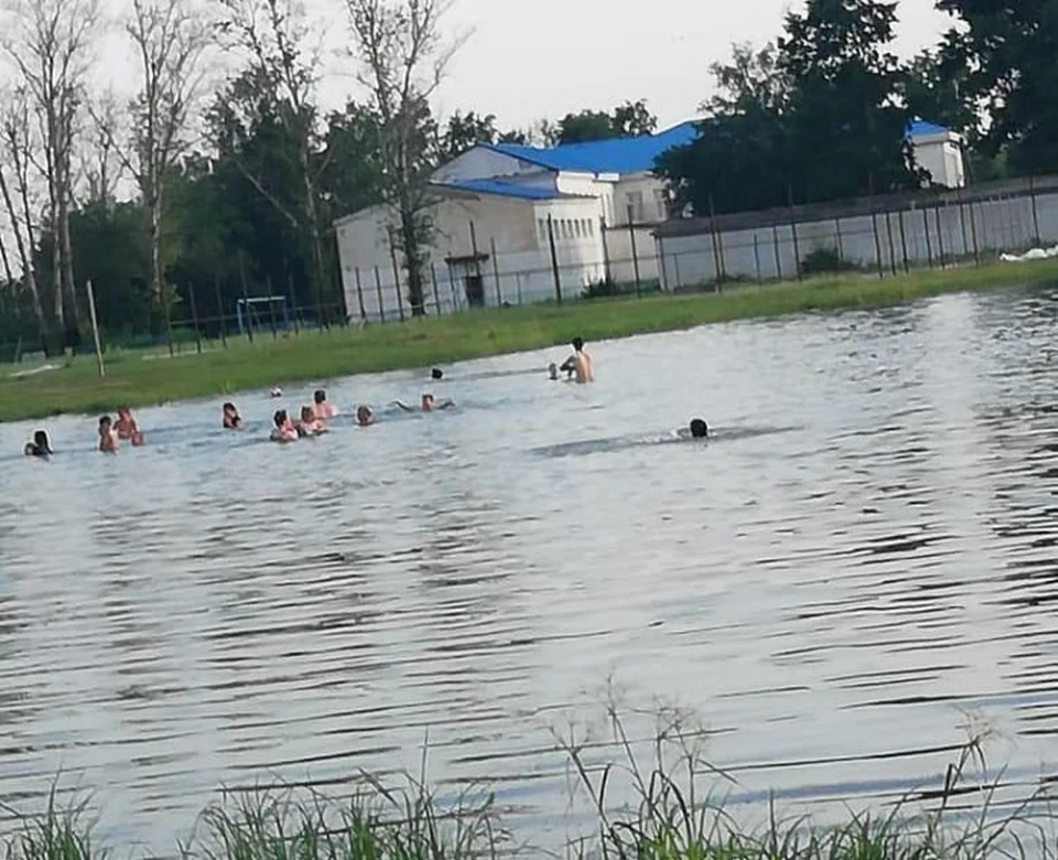 Село новоалександровка амурская область. Озеро в Новоалександровке. Новозаведенное озеро. Гомелевка Амурская область.