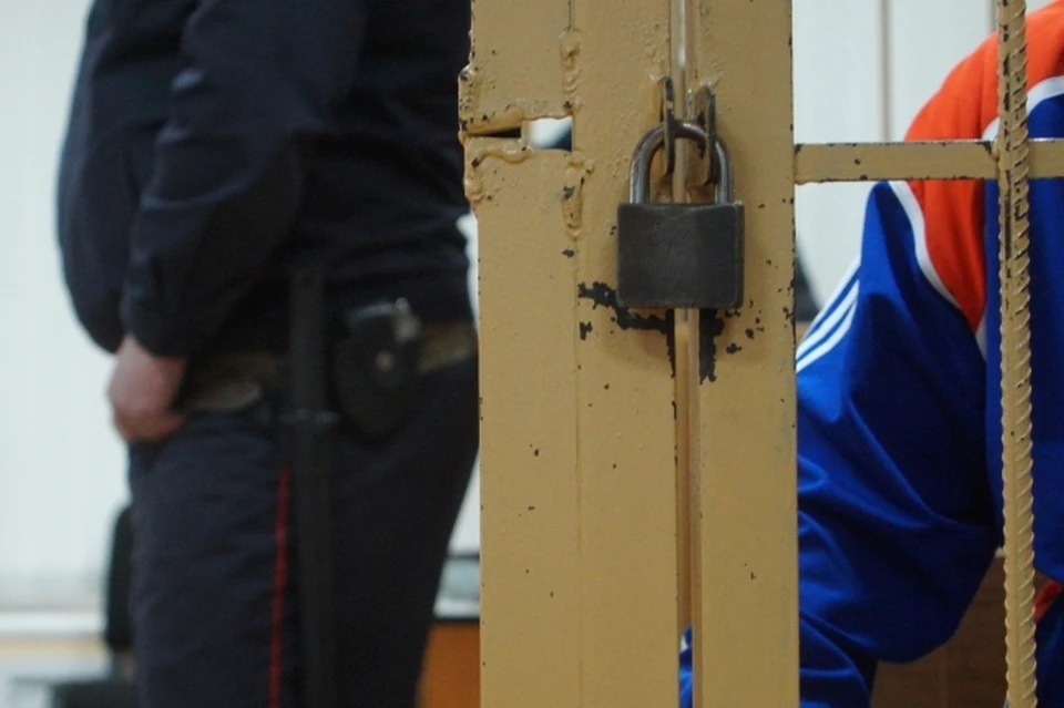 К длительному лишению свободы приговорен житель Удорского района за растление девочки