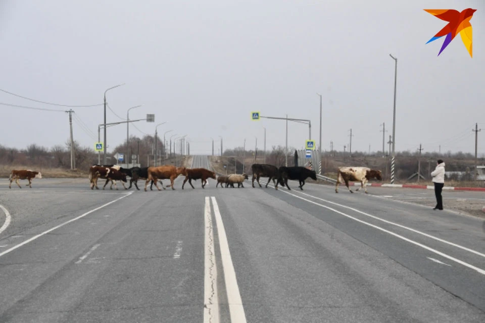 По факту аварии проводится проверка.