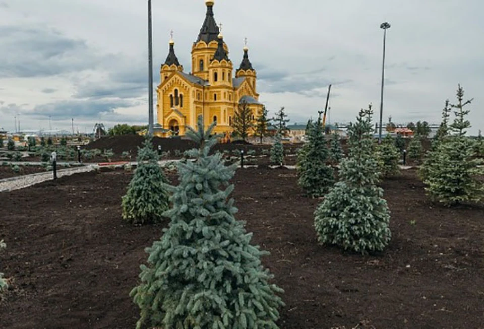 Благоустройство Окской набережной идет в Нижнем Новгороде. ФОТО: ИРГСНО