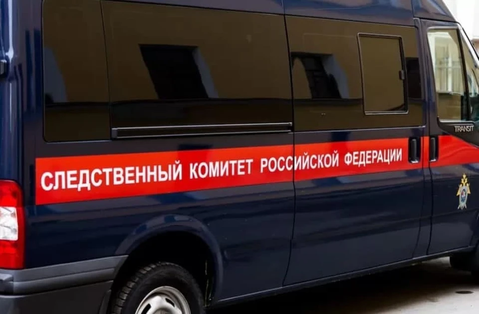Причины смерти погибшей женщины выясняют эксперты.