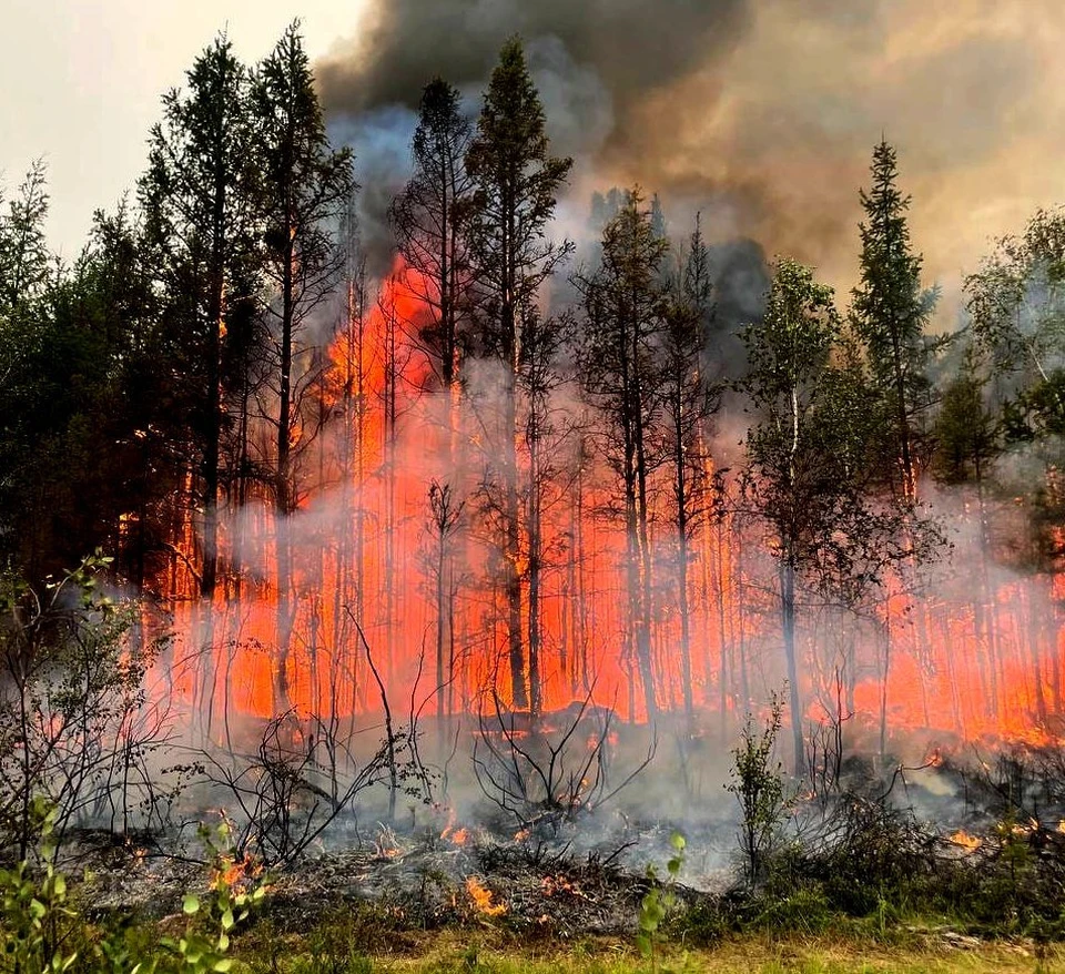 Наши доблестные авиапожарные продолжат борьбу с огнем в лесах Якутии-Саха