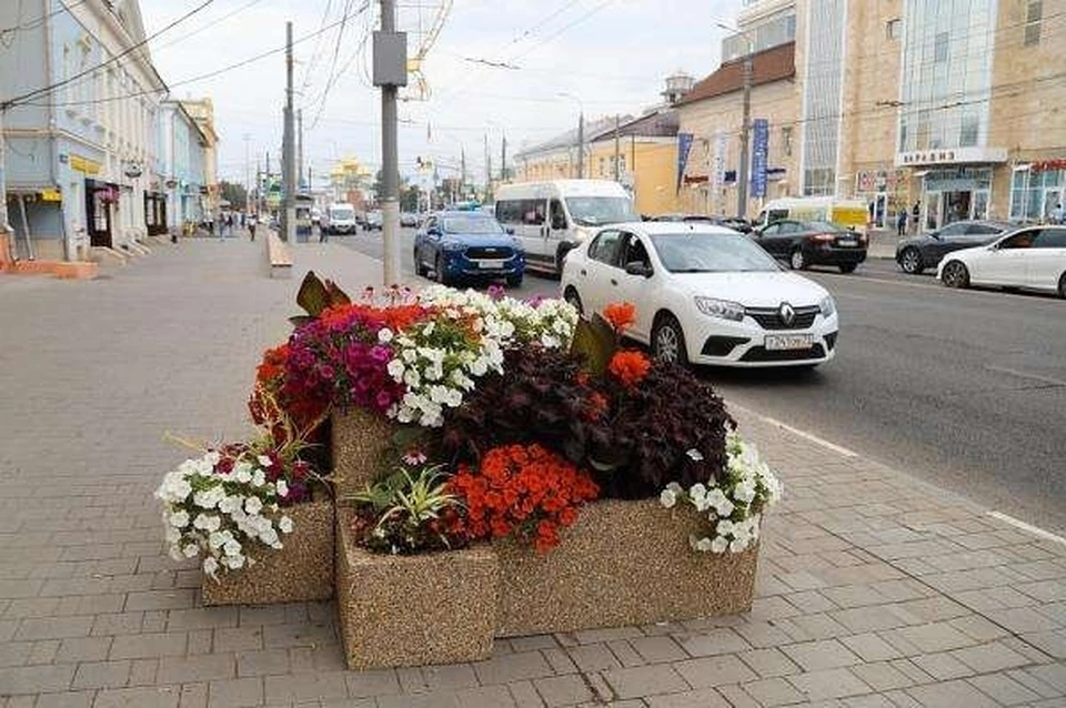 Деревья вернутся в центр Тулы. Но в кадках