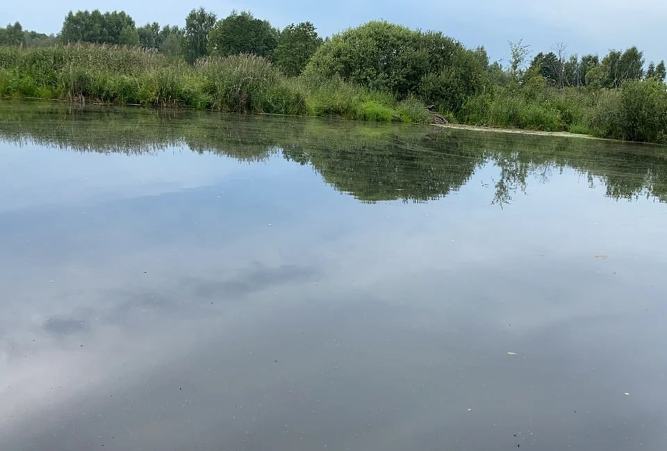 Парень находился в воде вместе с собакой