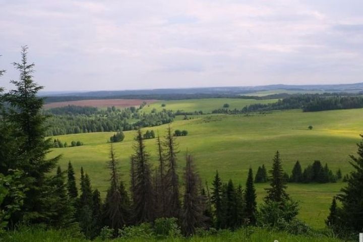 Каргора - потрясающее место в Шарканском районе