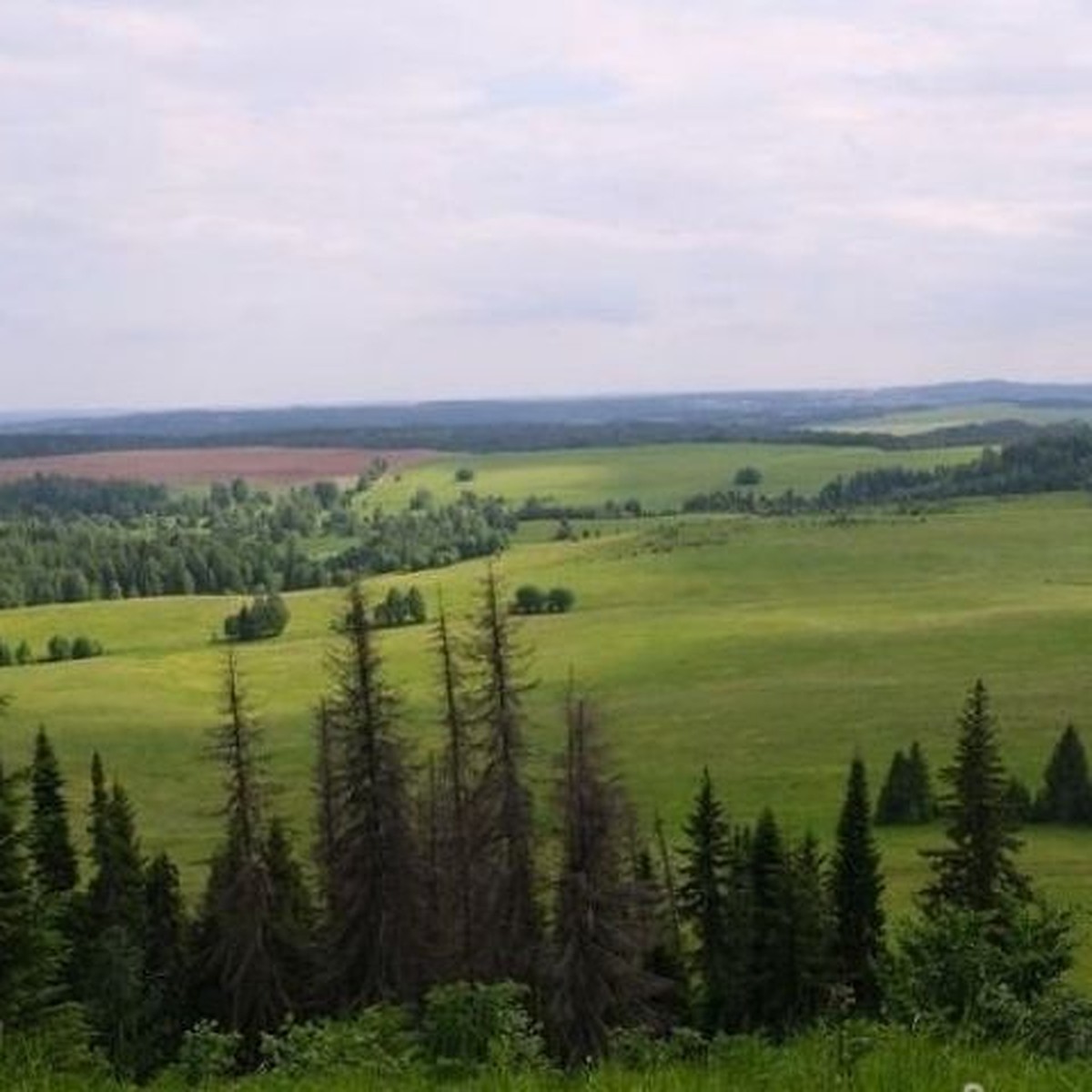 Каргора, берег Вятки и плавающая кочка: 8 красивых природных мест Удмуртии,  которые нужно посетить этой осенью - KP.RU