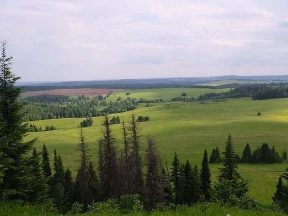 Каргора, берег Вятки и плавающая кочка: 8 красивых природных мест Удмуртии,  которые нужно посетить этой осенью - KP.RU