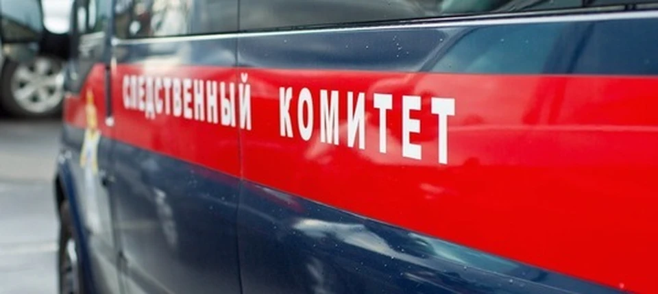 В Советском районе Волгограда нашли ногу и мумию Фото: СУ СК по Волгоградской области