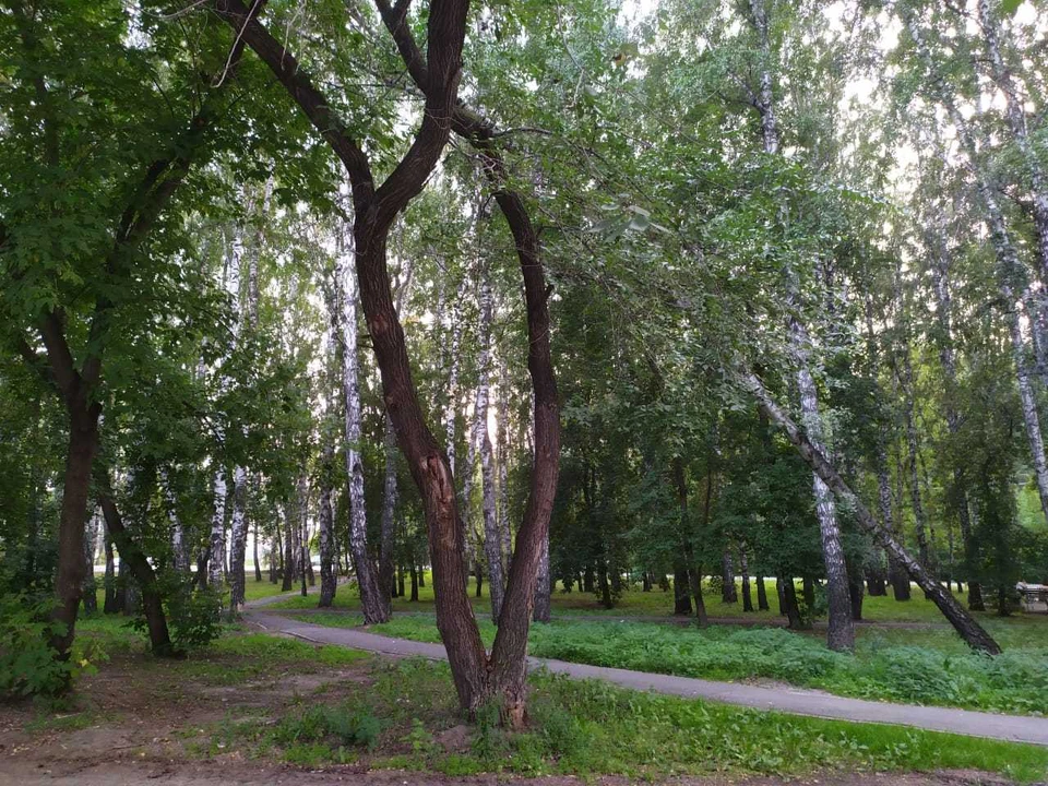 В Югре плюс 24.