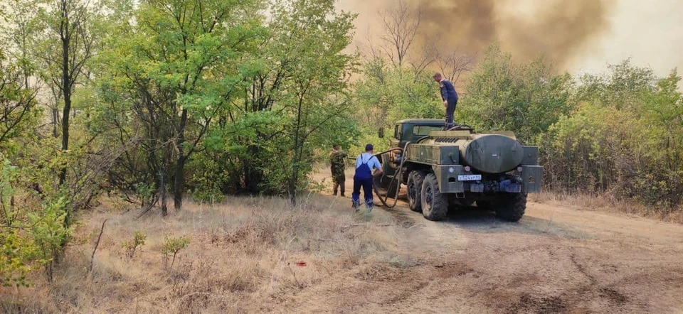 На окраине города произошел природный пожар