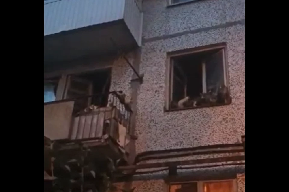 Фото: скрин с видео очевидцев.