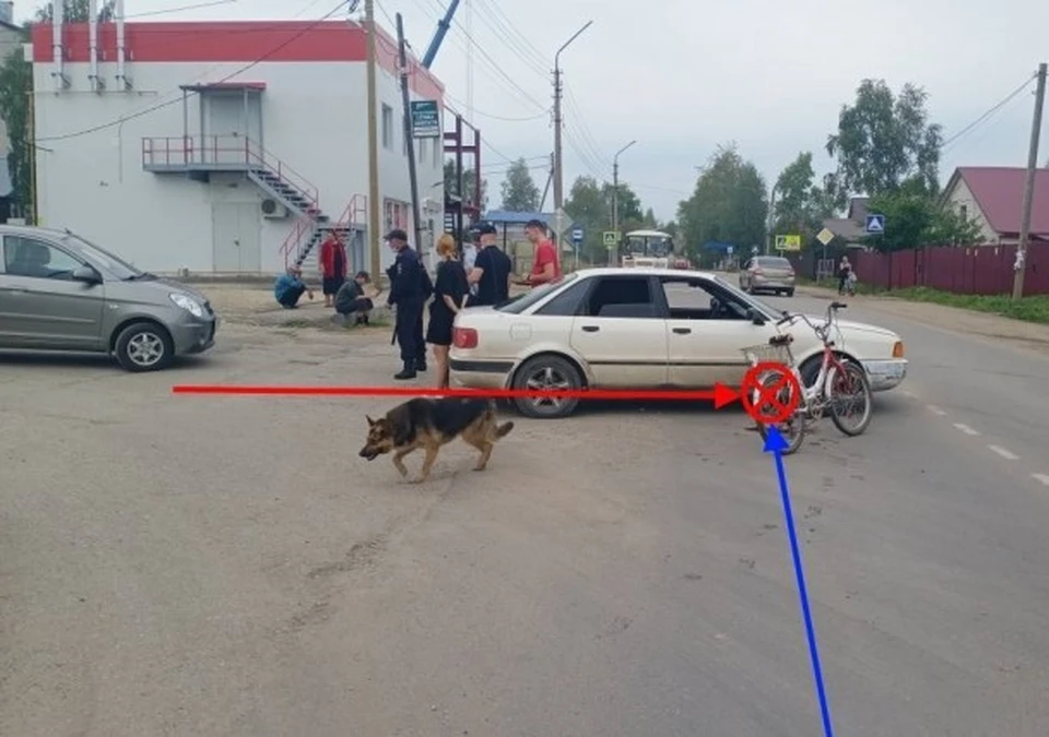 Фото: управление ГИБДД по Коми