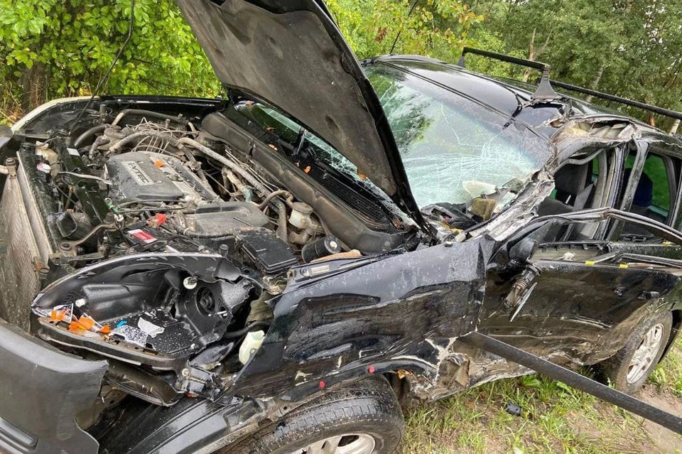 На трассе в Касимовском районе прицепом фуры смяло автомобиль Honda.