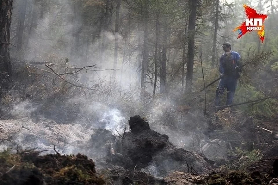 В Башкирии действуют 15 очагов природных пожаров