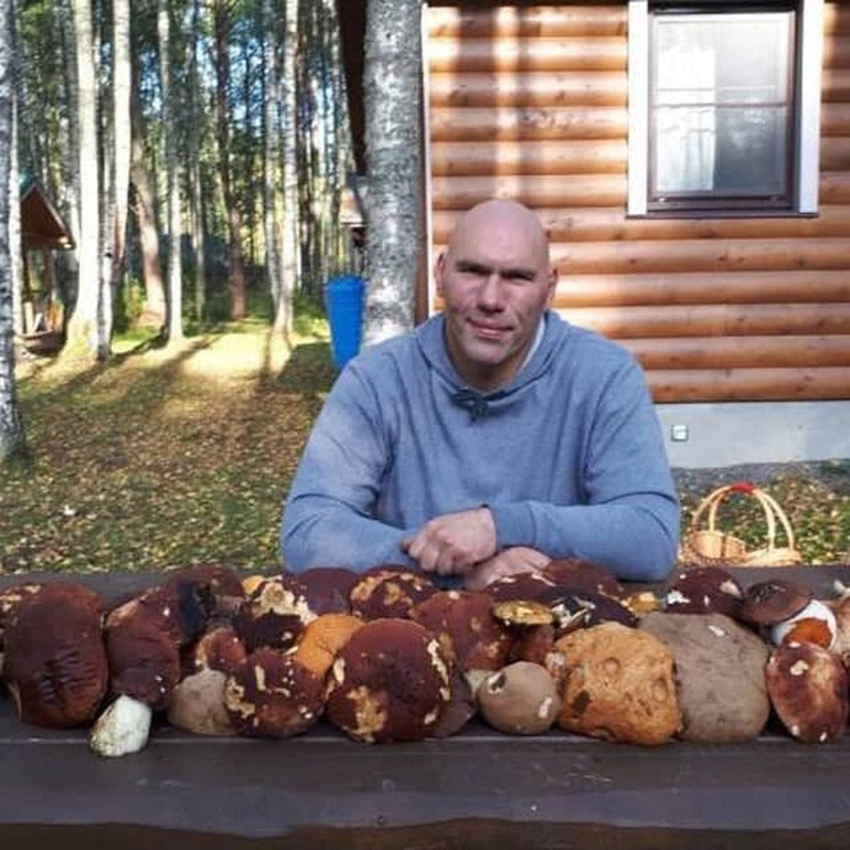 Звездное лукошко. Какие грибы любят собирать Валуев, Мишин и Краско - KP.RU