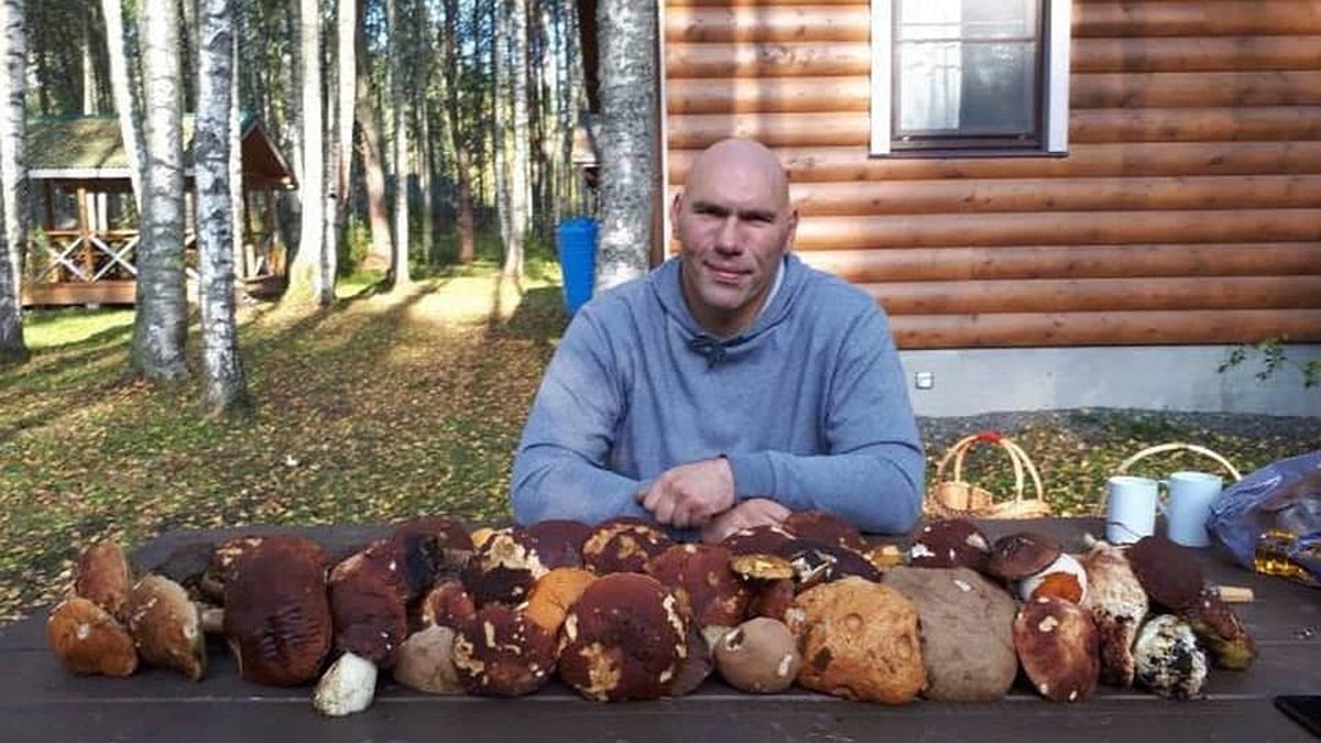 Звездное лукошко. Какие грибы любят собирать Валуев, Мишин и Краско - KP.RU