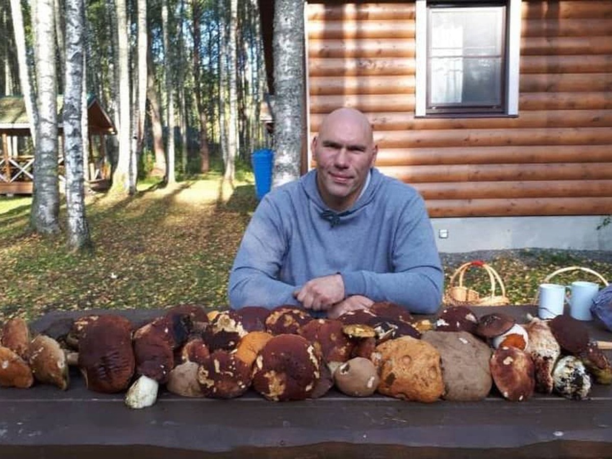 Звездное лукошко. Какие грибы любят собирать Валуев, Мишин и Краско - KP.RU