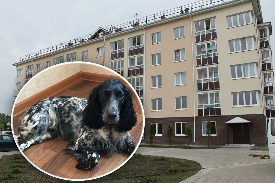 Чудовищный случай произошел в ЖК "Новинки Смарт Сити". Фото: Светлана Слепова, группа "Типичный ЖК Новинки Smart City"