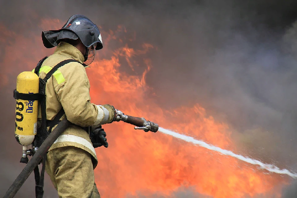 В тушении масштабного возгорания были задействованы пожарные бригады из 6 городов. Фото: МЧС ДНР