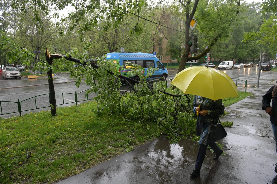 Сильные дожди пройдут в Смоленской области 1 сентября.