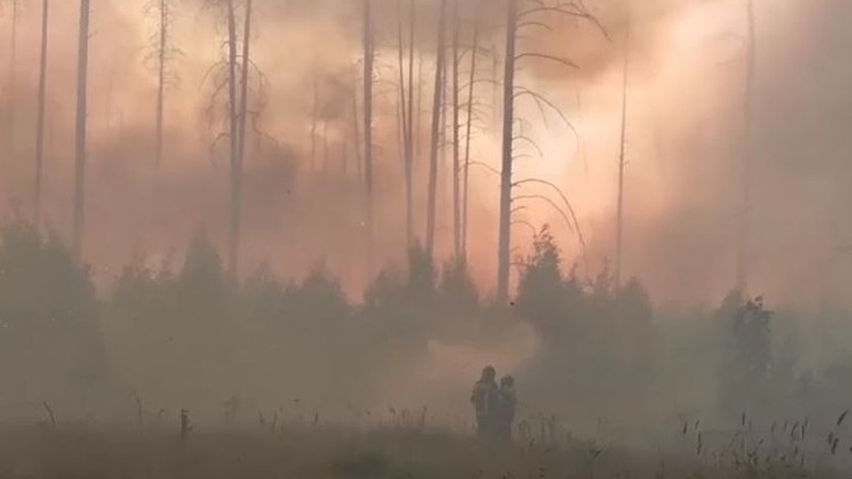 Владимирские пожарные, тушившие Мордовский заповедник: «Температура воздуха  вокруг была под 80 градусов» - KP.RU