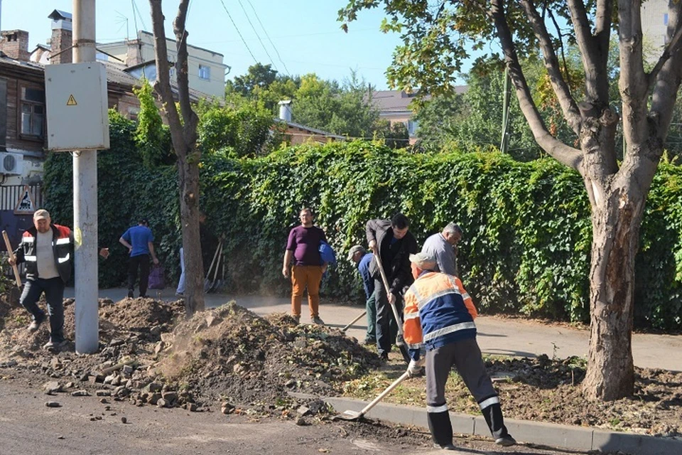 В уборке приняли участие более ста человек. Фото: сайт правительства РО