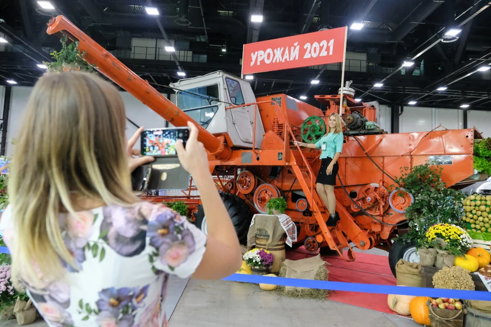 Осенний праздник урожая для жителей и гостей нашего города прошел на «Ура!».