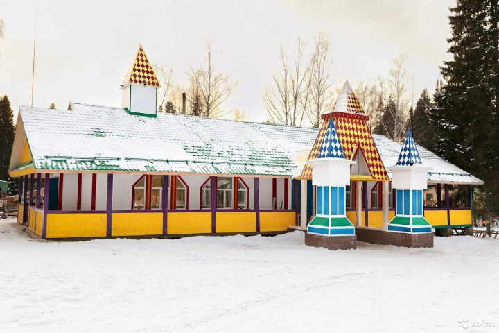 Парк развлечений продают за 30-35 миллионов рублей. Фото: avito.ru