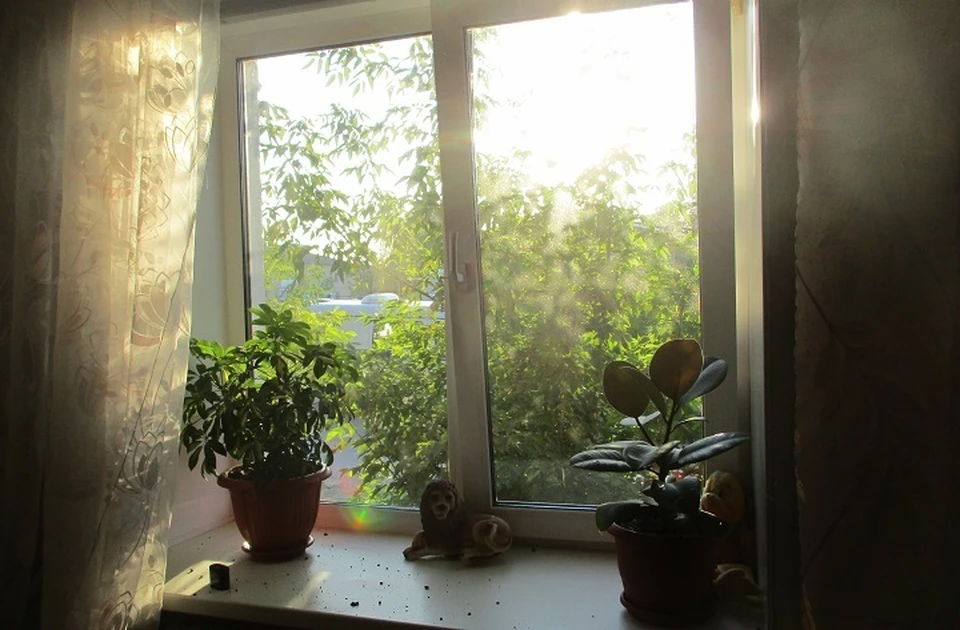 Хозяйка квартиры обнаружила, что цветочный горшок, который стоял на подоконнике, валяется на полу. Фото: МО МВД России «Верхнепышминский»