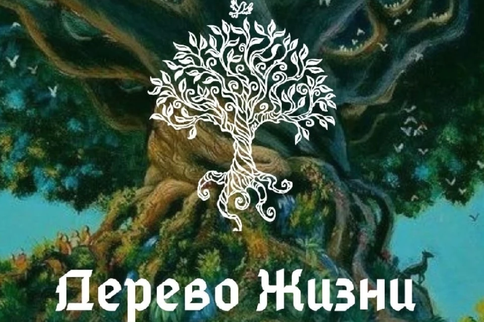 Волшебства хватит на всех. Фото: ежегодный сказочно-литературный фестиваль "Дерево жизни"