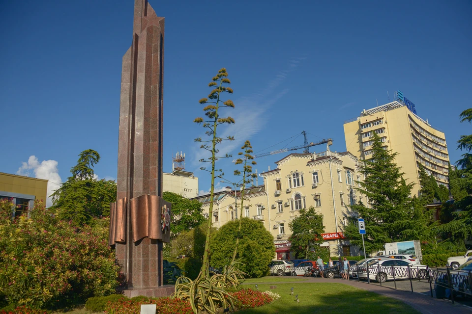 В Сочи зацвела агава