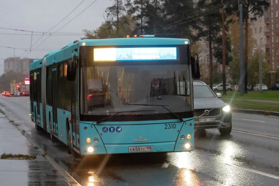 В Петербурге станет больше автобусов на загруженных маршрутах.
