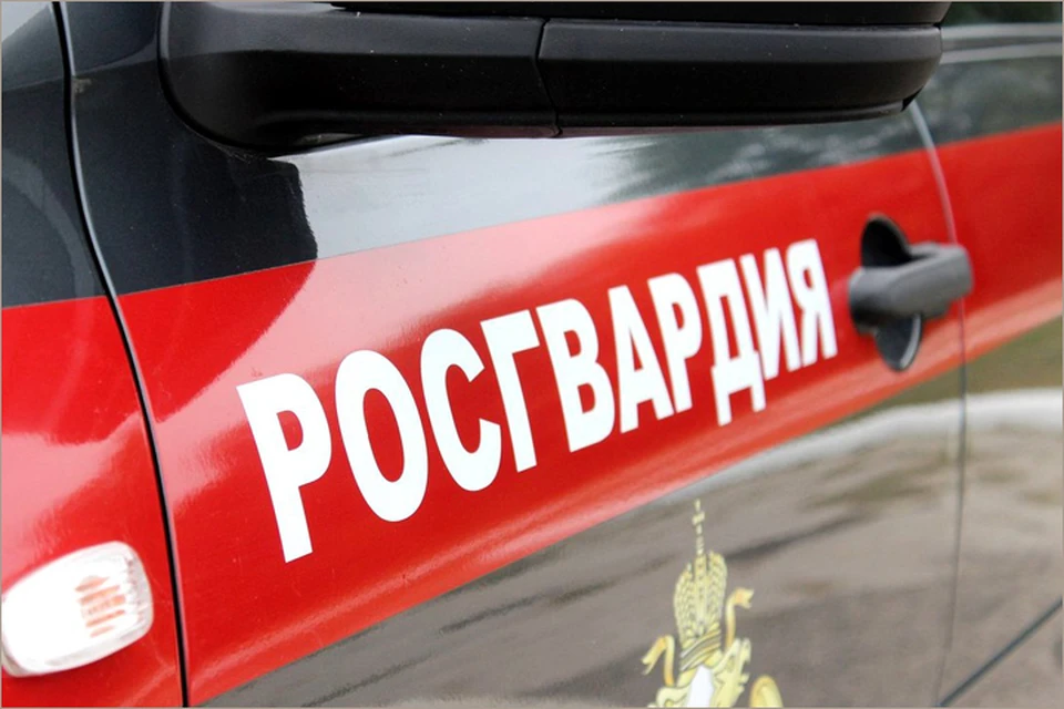 Фото: Управление Росгвардии по Брянской области.