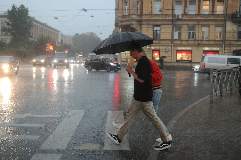 В ближайшие сутки в Петербурге будет пасмурно и дождливо.