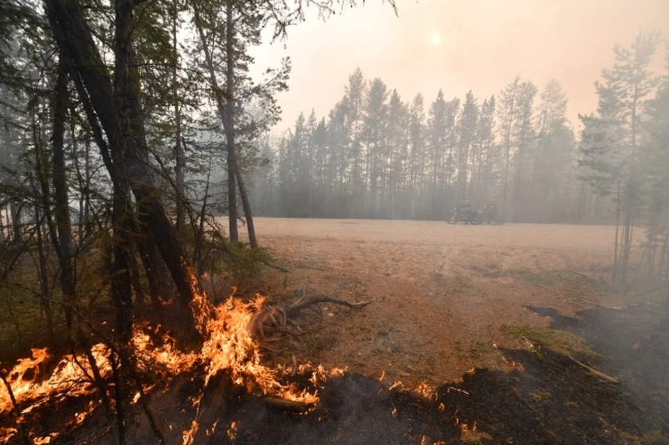 Шесть лесных пожаров общей площадью более 12 гектаров зафиксировали в Смоленской области.