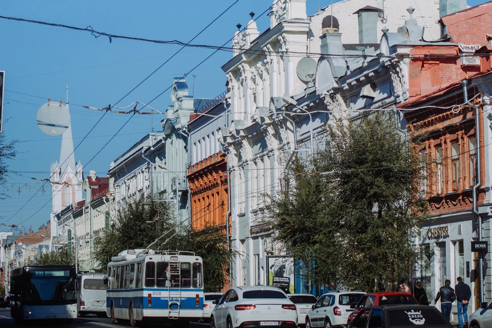 Город -для людей. Но всем остальным живым организмам в нем приходится несладко