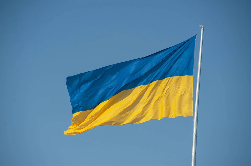 Советник главы офиса Зеленского допустил, что Киев может вернуть Донбасс военным путем
