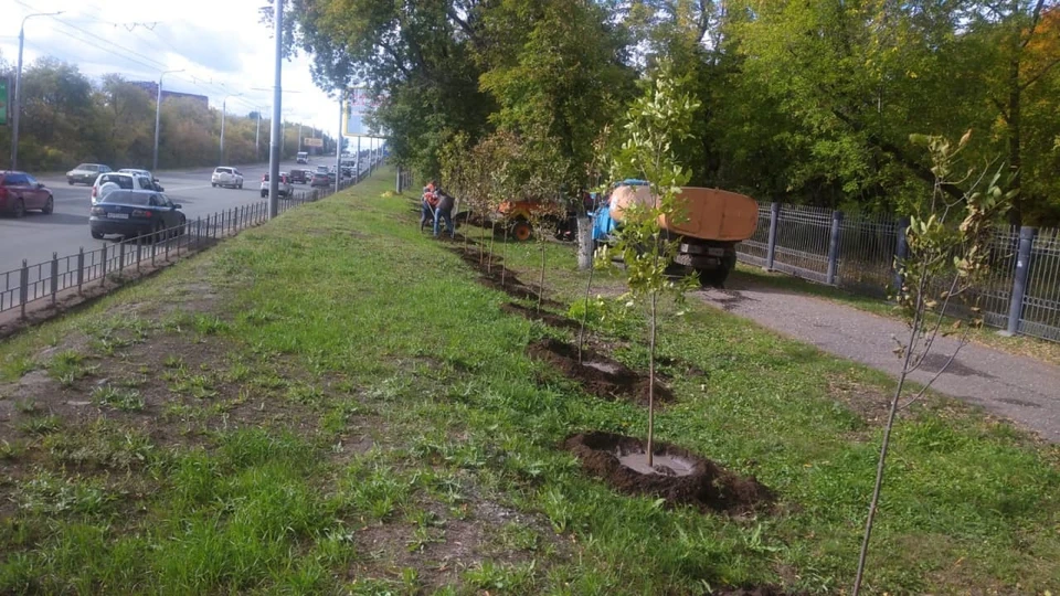 В планах агрономов высадить осенью еще около 2 600 деревьев.