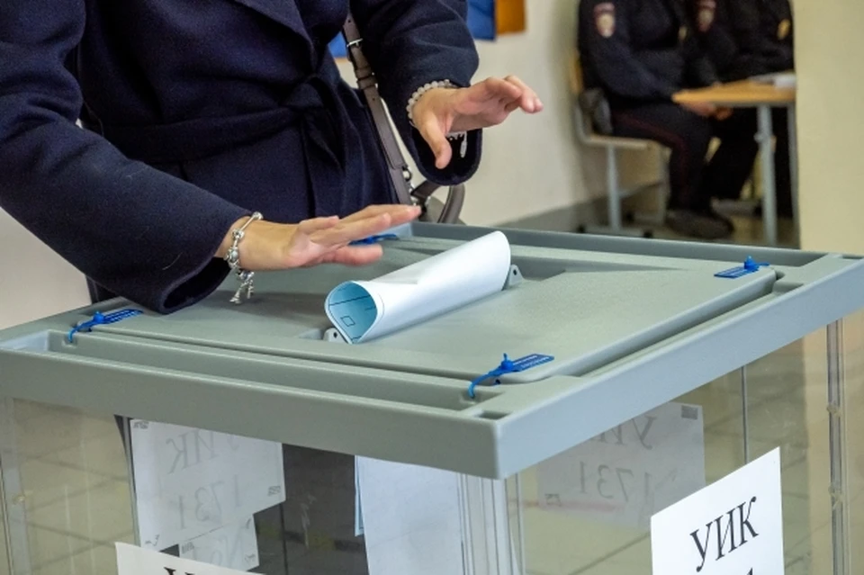 Явка на выборах в Государственную думу в Москве за первые сутки превысила 23%