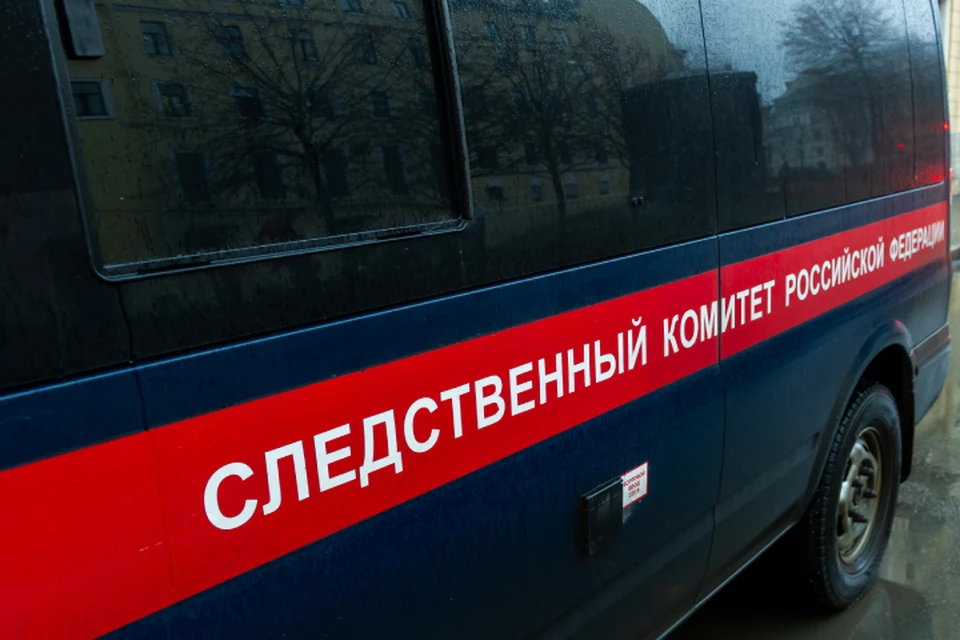 Следственный комитет проводит проверку этой информации.